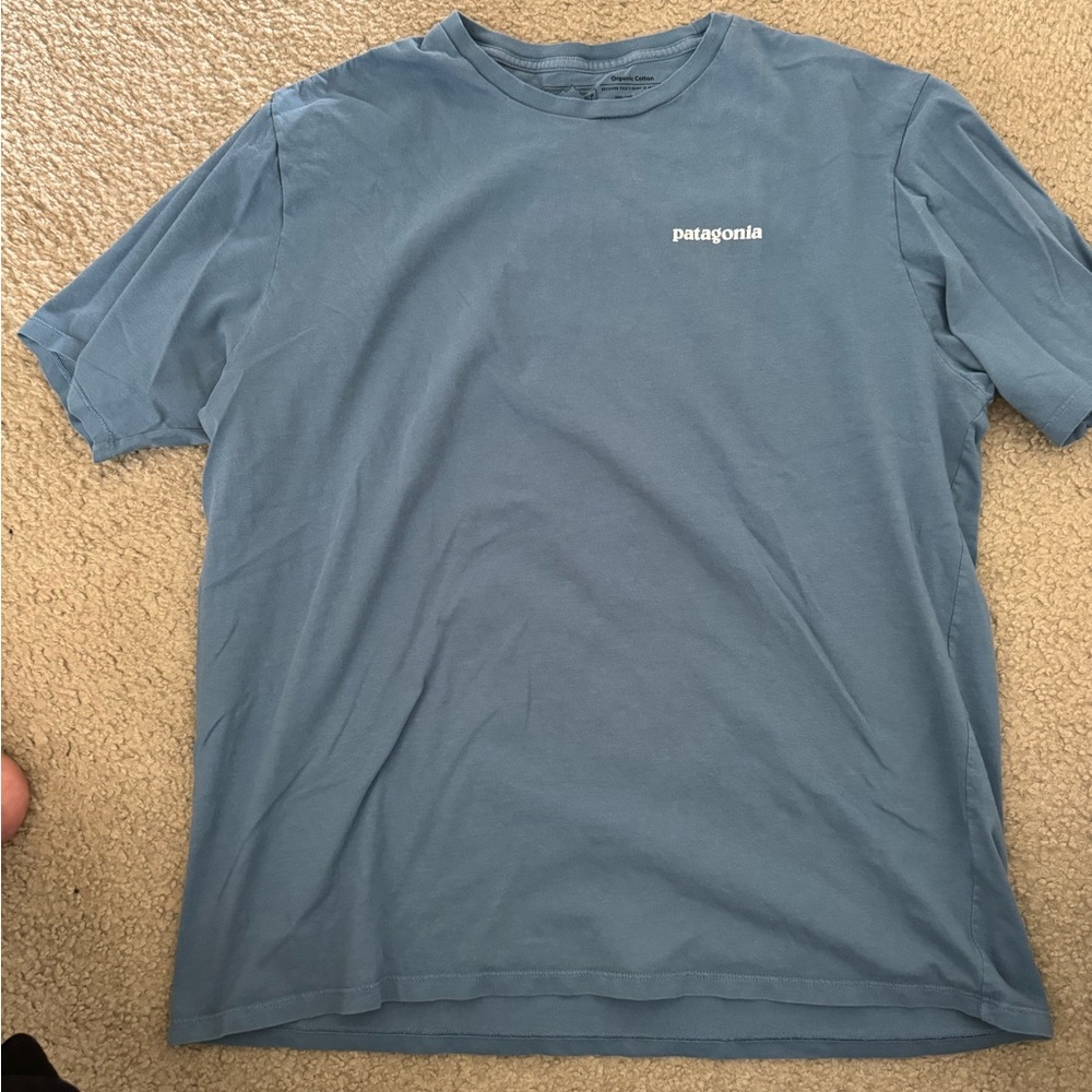 Mens Patagonia tshirt
